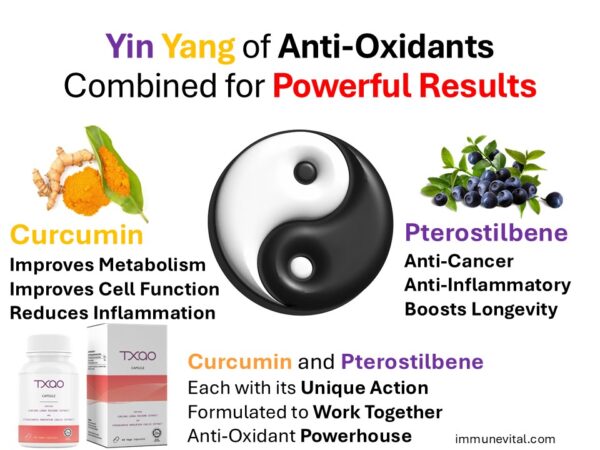 Txao: Improve your Immune System - Image 8